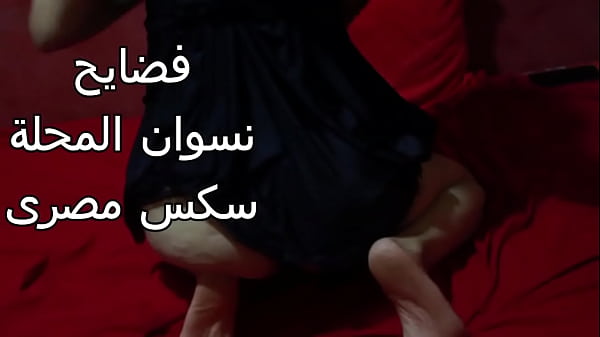 سكس عربى شرموطة مصرية طيزها ضخمة عايزة تتناك بقوة