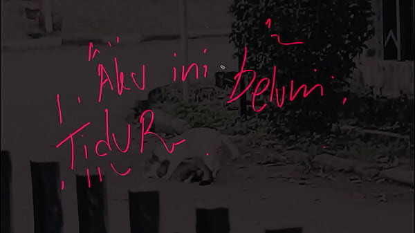 Belum Tidur, Udah Ngilu Di Dalem, Pengen Digenjot Sampe Mampus.